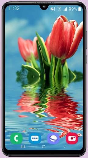 Tulips Wallpaper Best HD screenshot 7
