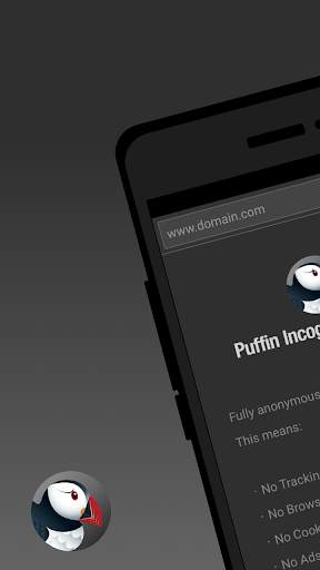Puffin Incognito Browser screenshot 1