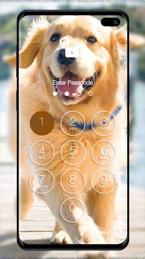 Golden Retriever Wallpapers & Lock Screen screenshot 3