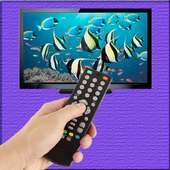Smart TV Remote Control Fun
