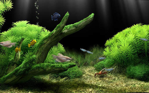 Aquarium Live Wallpapers screenshot 6