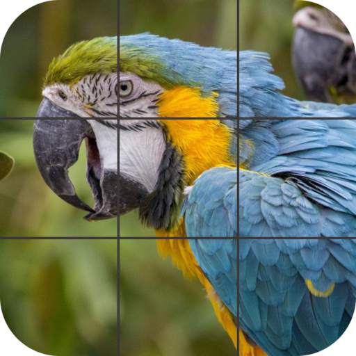 Birds Jigsaw Puzzle 1.3