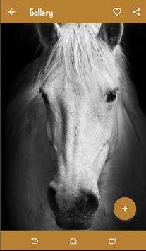 Horse Wallpapers screenshot 4