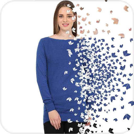 Particle Dispersion Effect 1.6