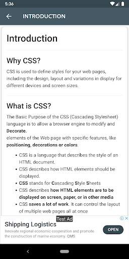 W3School CSS (Learn CSS) screenshot 2