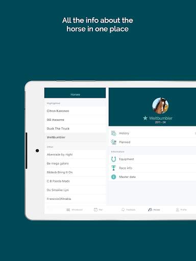 Mosson Stable screenshot 8