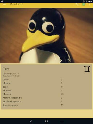 Wie alt ist? screenshot 13