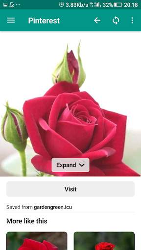 Naira Search & Browser screenshot 8