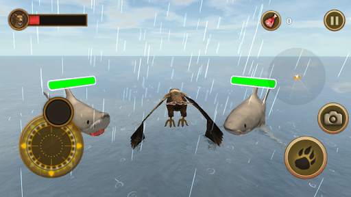 Sea Eagle Survival Simulator screenshot 2