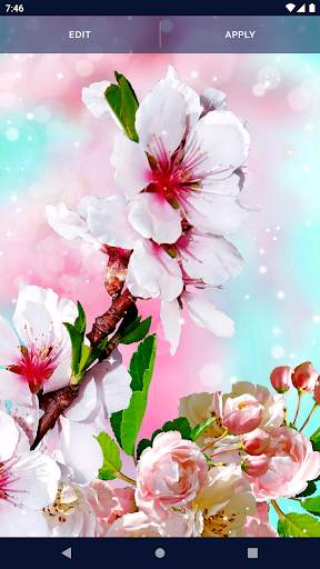 Flower Blossom Live Wallpaper screenshot 5