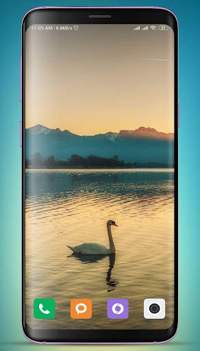 Swan Wallpaper screenshot 15