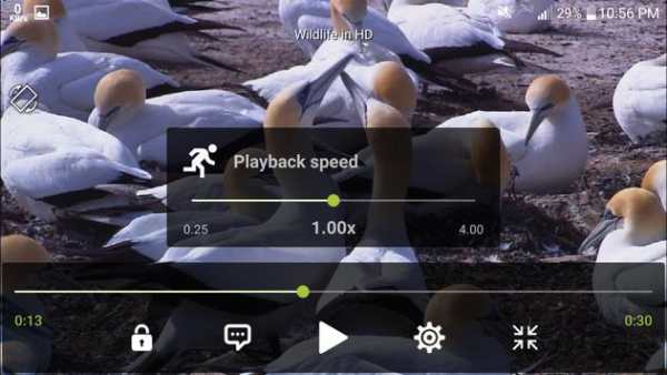 DVD Player screenshot 4
