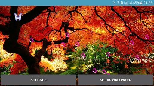 Autumn Live Wallpaper screenshot 9