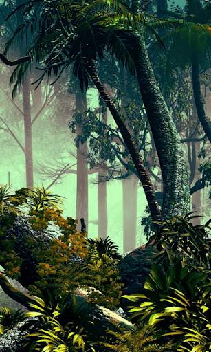 Jungle HD Wallpaper Background скриншот 2