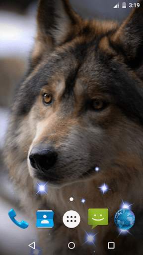 Wolf Live Wallpaper screenshot 1