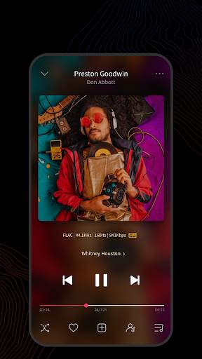 FiiO Music screenshot 2