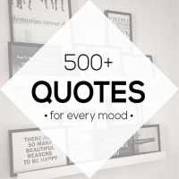 500  Quotes For Every Mood icon