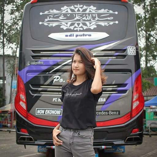 Wallpaper Bus Indonesia 1.2
