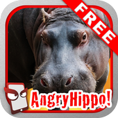 Angry Hippo Free! आइकन