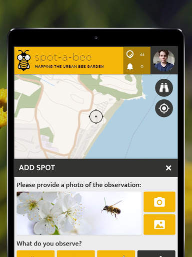 Spot-a-Bee  | SPOTTERON screenshot 10