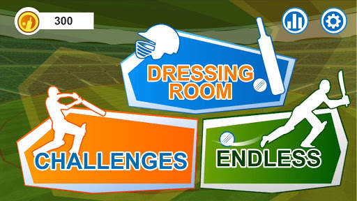 Batsman Cricket Game - Cricket games 2019 screenshot 2
