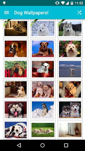 Dog Wallpapers! screenshot 1