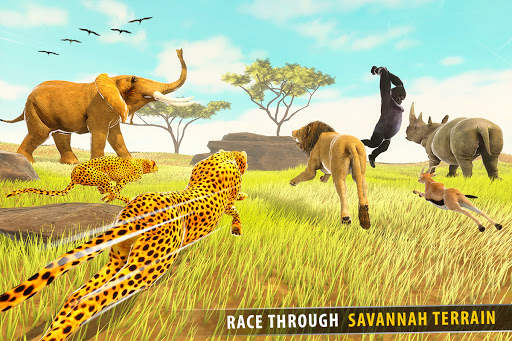 la savane des courses d'animaux 3D screenshot 10