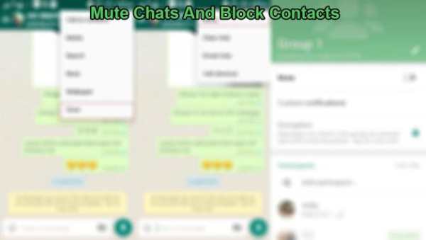 Freе WhatsApp Messenger Tips - Pro guide & tricks screenshot 7