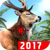 Jungle Deer Hunting Game: 2017 logo