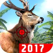 Jungle Deer Hunting Game: 2017 1.1