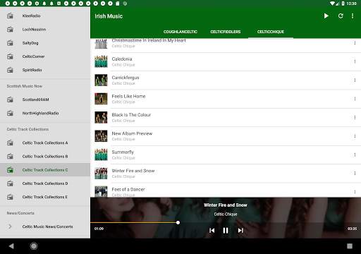 Irish Celtic Music Now screenshot 11