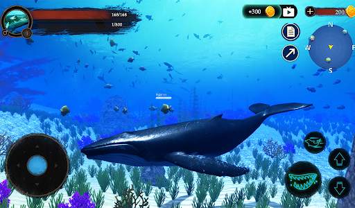The Humpback Whales screenshot 15