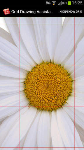 Grid Drawing Assistant screenshot 2