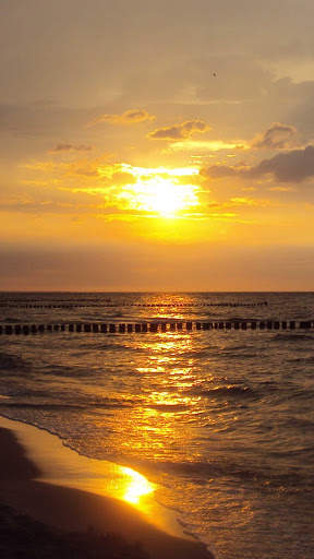 Summer Wallpapers : backgrounds hd screenshot 3