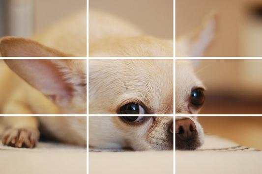 Tile Puzzles - Slide Puzzles Dogs screenshot 1
