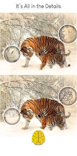 Find The Difference - Brain Differences Puzzle screenshot 2