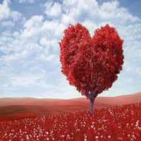 Romantic Love Song logo