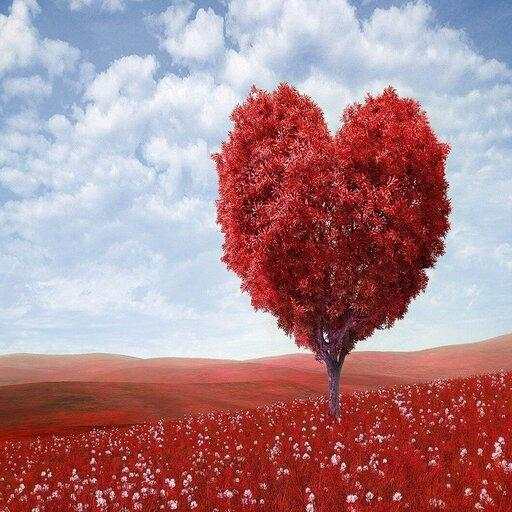 Romantic Love Song 1.0