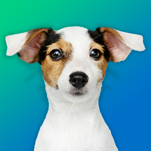 ikon Dog Quiz: Guess the Breed — Game, Pictures, Test