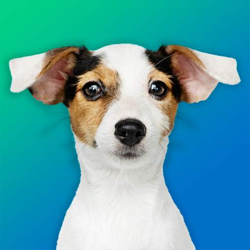 Dog Quiz: Guess the Breed — Game, Pictures, Test 1.20