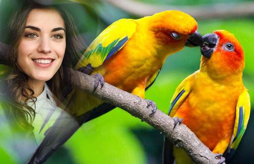 Love Birds Photo Frames screenshot 5