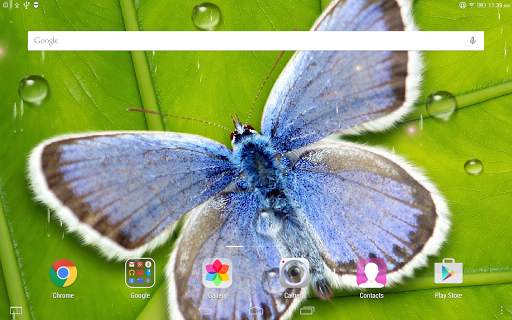Rainy Live Wallpaper screenshot 10