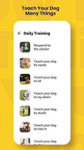 Dog training, Dog Tricks screenshot 2