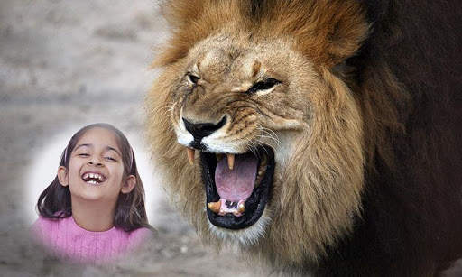 Wild Animal Photo Frames HD screenshot 4