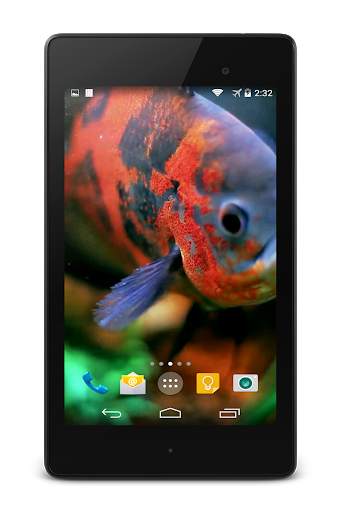 Aquarium Video Live Wallpaper screenshot 8