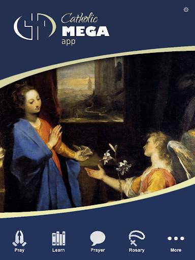 Catholic Mega App screenshot 12