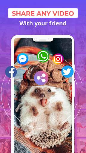 Free Social Video Downloader screenshot 5