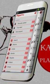 Karate Music Player Skin screenshot 2