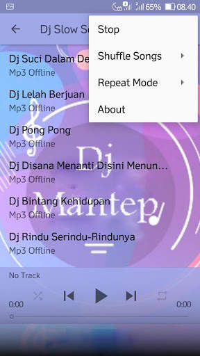 Dj Slow Seberkas Sinar Offline 2 تصوير الشاشة