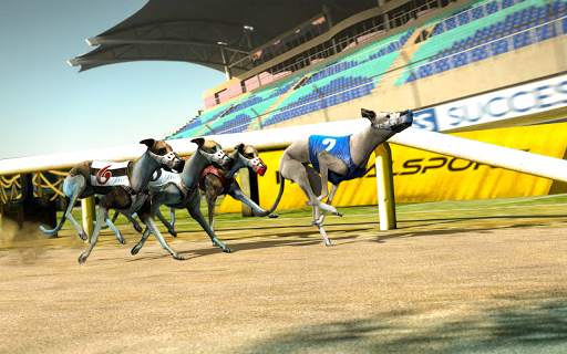 Dog real Racing  Derby Tournament: Dog Race Game screenshot 5